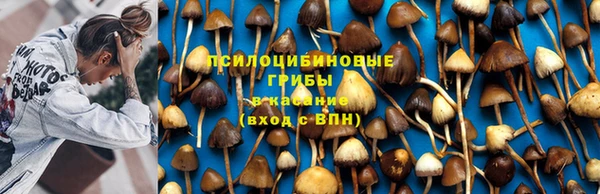 каннабис Алзамай